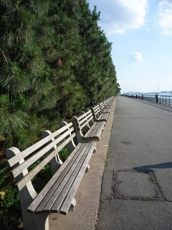 benches