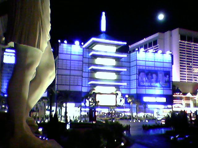 the view from BOA's terrace