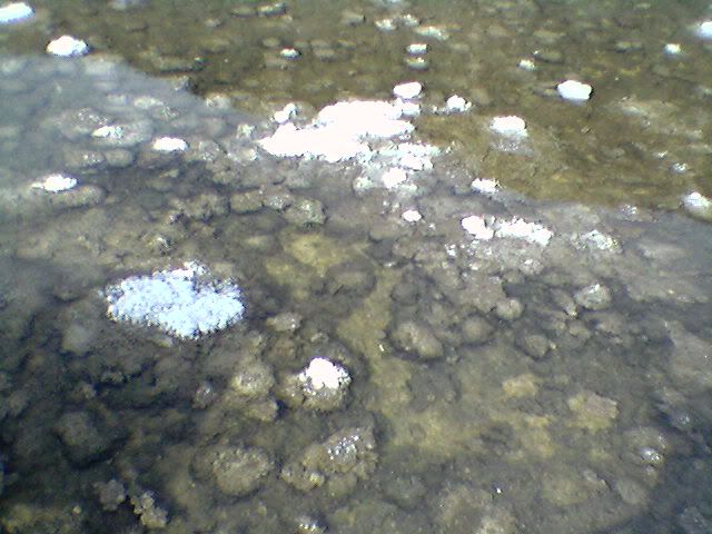 ancient water