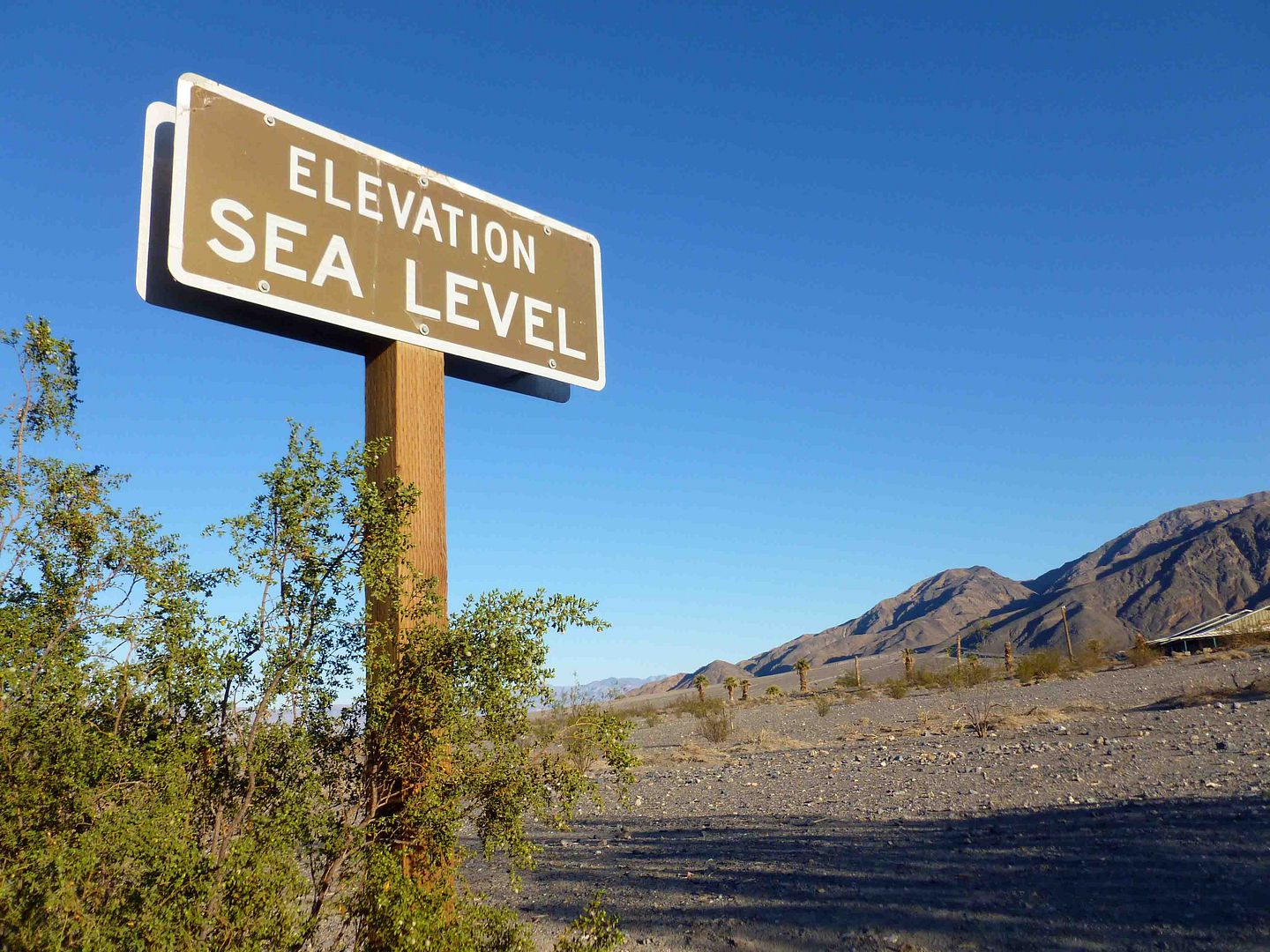 Avoiding Regret Elevation Sea Level