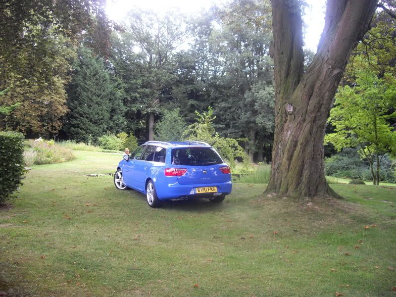 IMGP7128.jpg