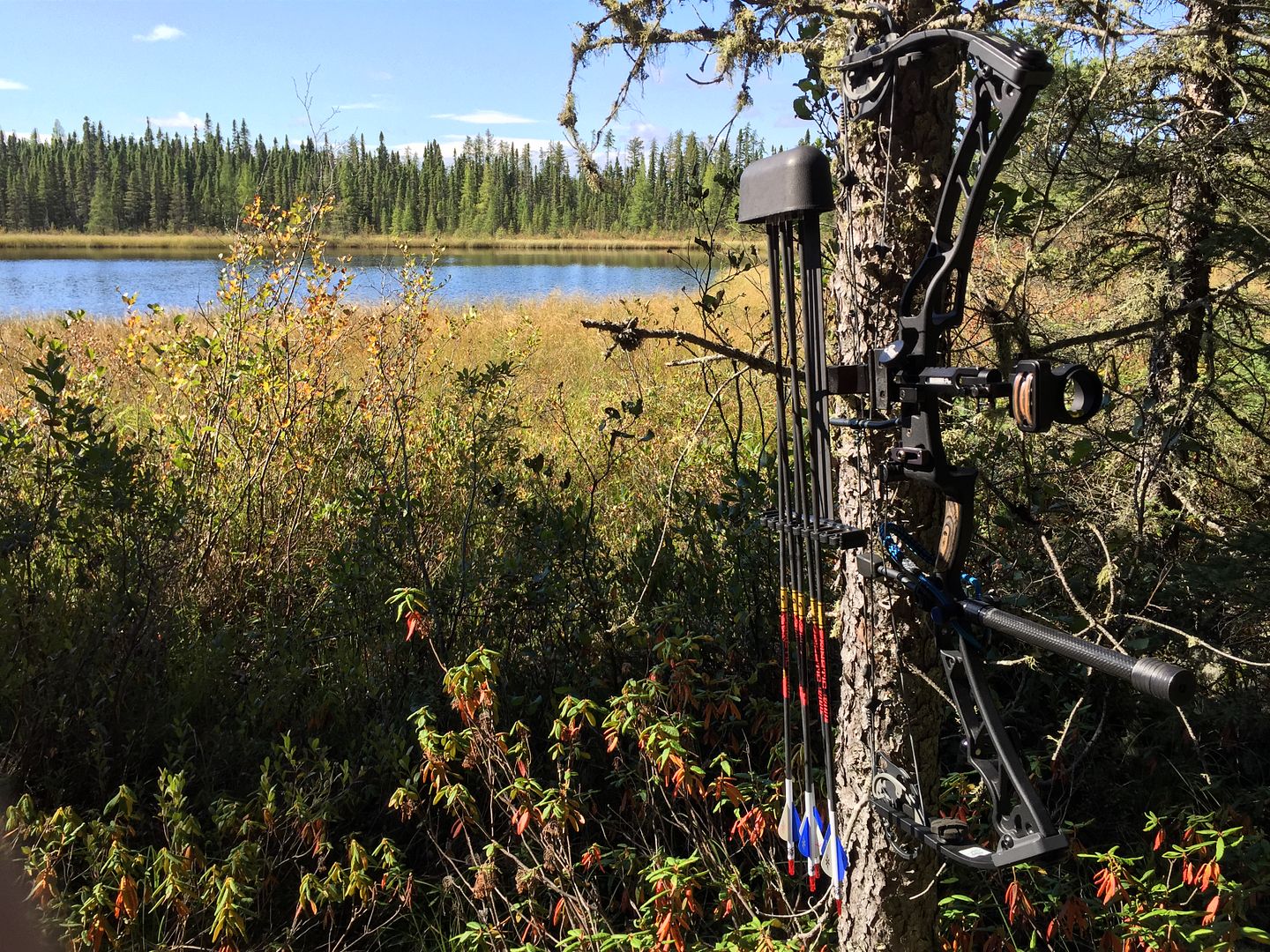 2015 Ontario Archery Moose hunt and Walleye (Pasha Lake Cabins