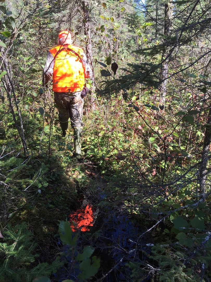 2015 Ontario Archery Moose hunt and Walleye (Pasha Lake Cabins