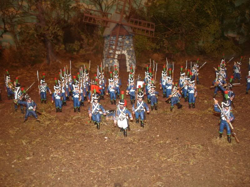 195.jpg
