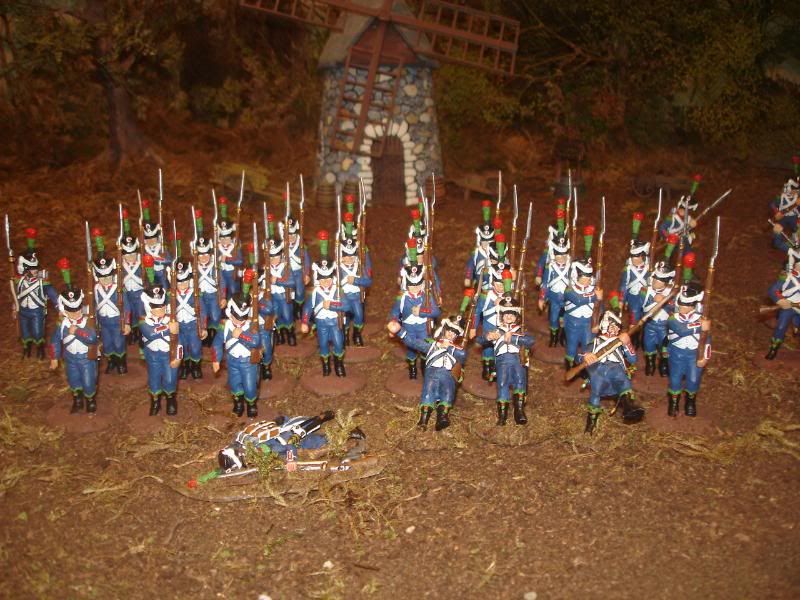 207.jpg