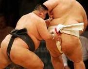 sumo1.jpg