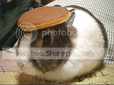 bunny-1.jpg