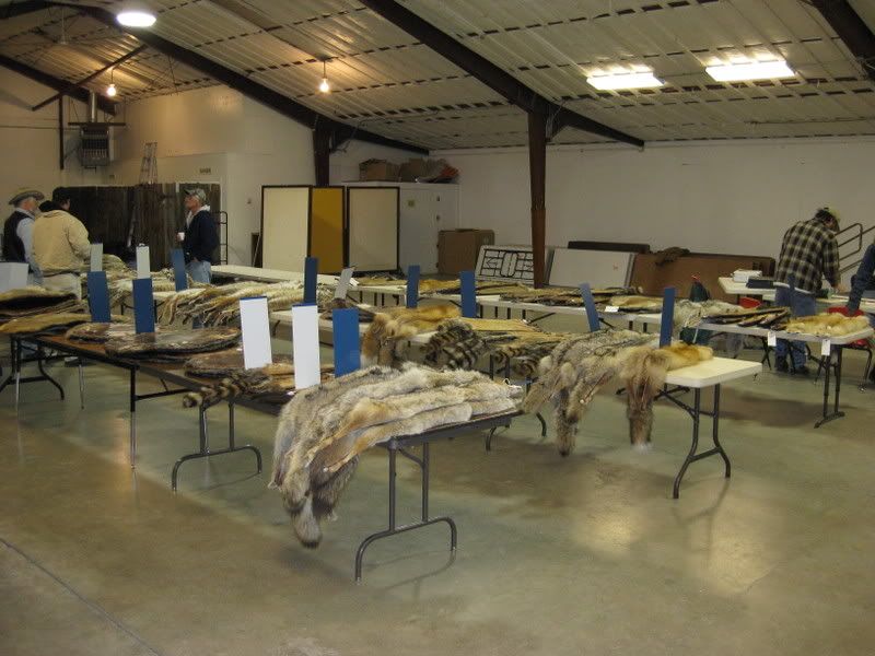 Western States Fur Auction, Columbus, MT Western States Fur Auction, Columbus, MT