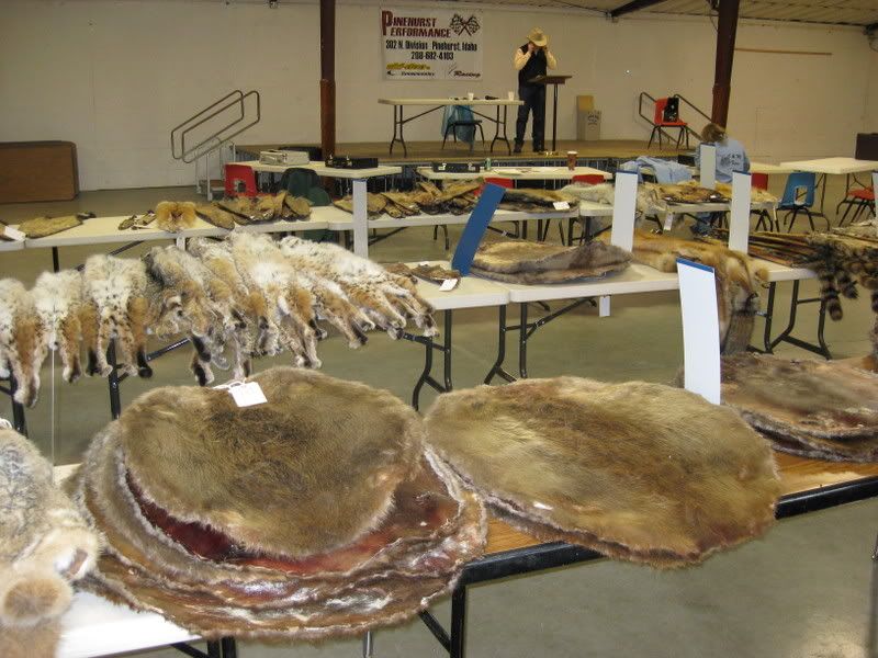 Western States Fur Auction