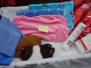 DSC01915.jpg