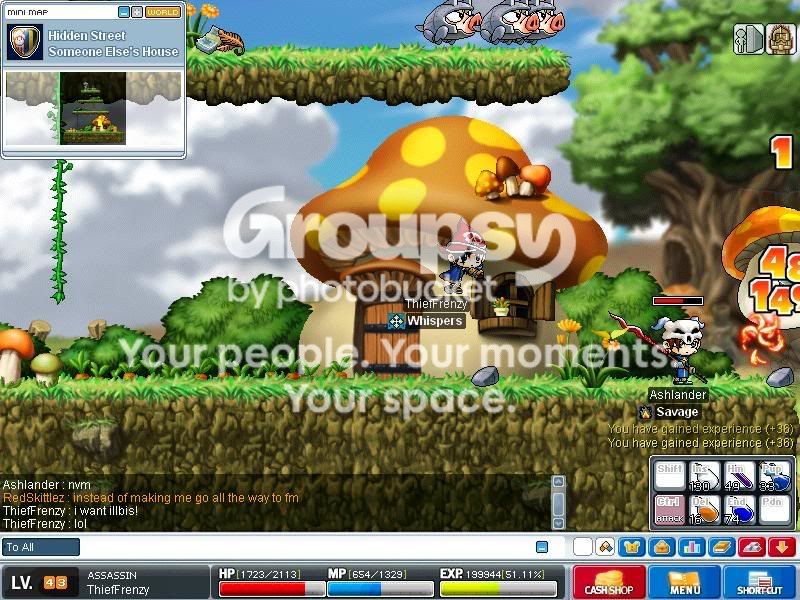 User Image