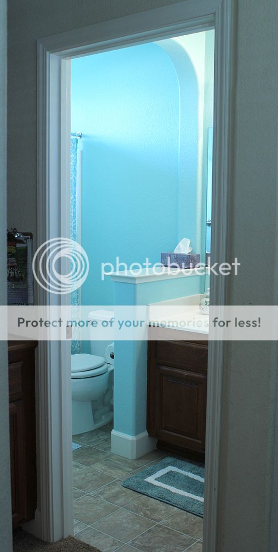 bathroom painted blue