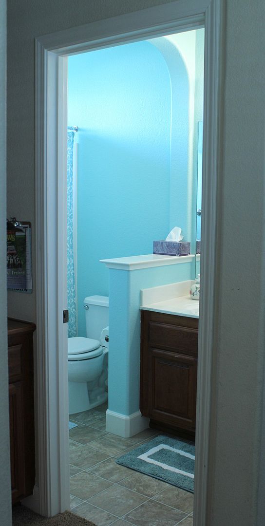 bathroom painted blue