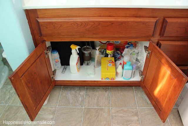 under bathroom sink view of supplies 