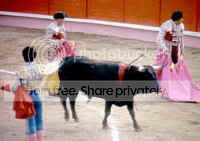 cattle-bf-19_small.jpg