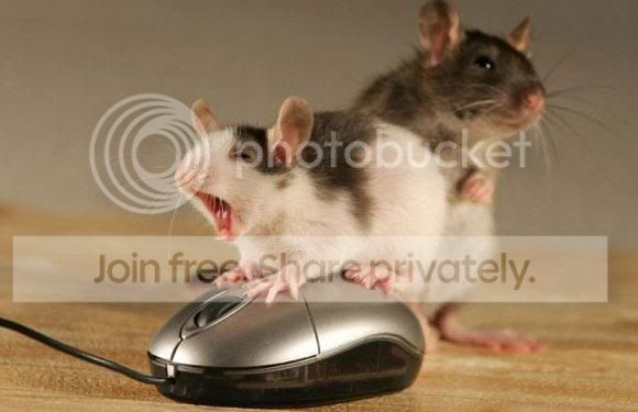 mousehumping.jpg