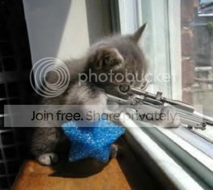 sniper.jpg