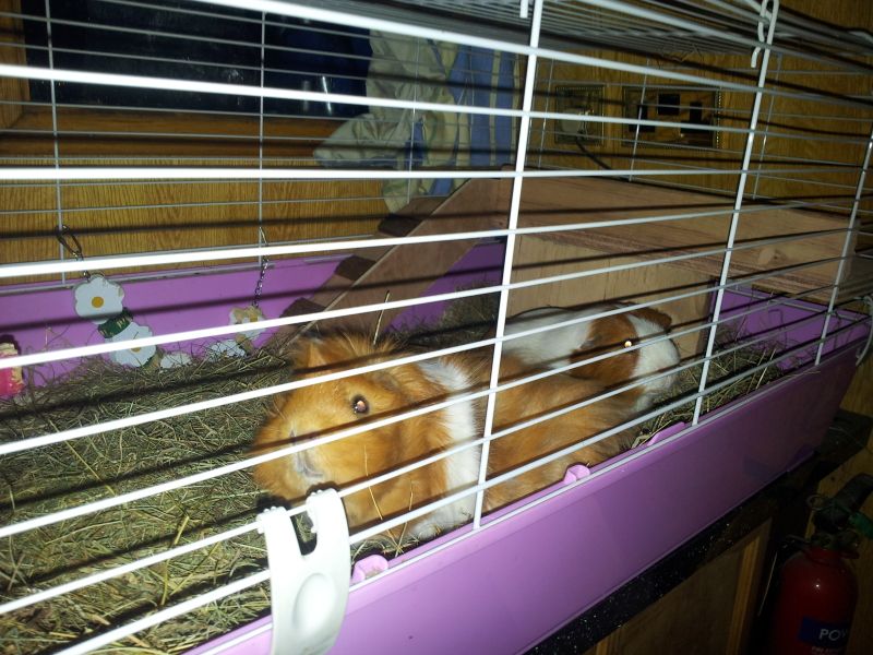 20120923_193957_zps9a3aafa3.jpg