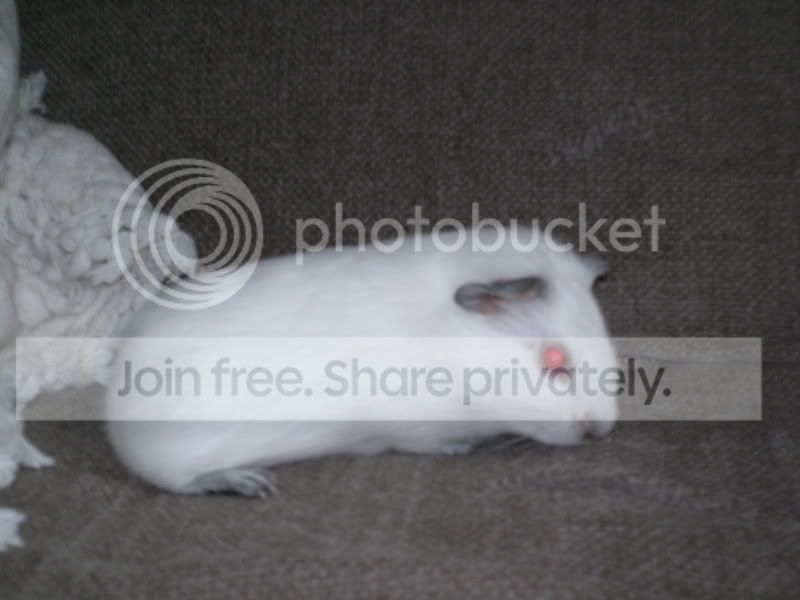 photostoprint087.jpg